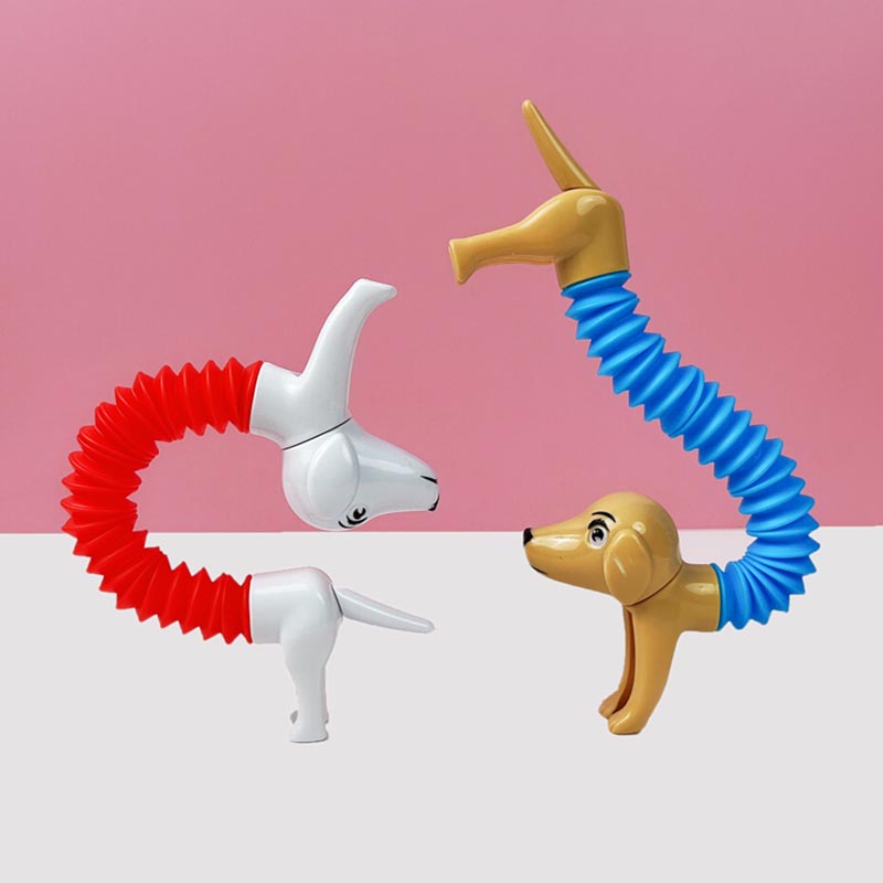 Nowość Spring Dog Pop Tubes za – Kids Toys Dog recenzja i cena