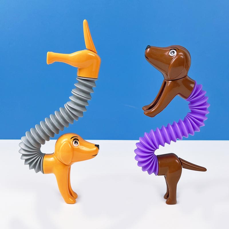 Nowość Spring Dog Pop Tubes za – Kids Toys Dog recenzja i cena